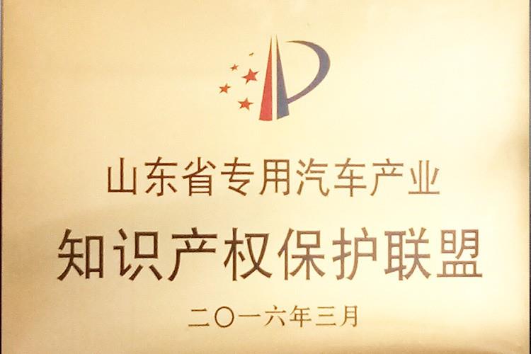 山东省专用汽车保护联盟